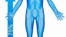 Timeline: Jornada de Salud: El Agua y el Cuerpo