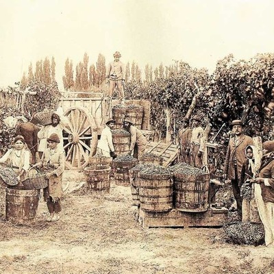 Timeline: ¿Pisco pe' o Pisco po'?