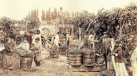 Timeline: ¿Pisco pe' o Pisco po'?