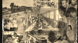 Timeline: Cajas de Carton Natan proyecto final