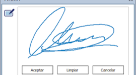 Timeline: FIRMA DIGITAL