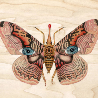 Timeline: HISTORIA DE LA ECOLOGÍA