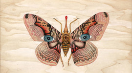 Timeline: HISTORIA DE LA ECOLOGÍA