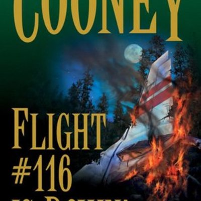 Timeline: Flight #116 is down!