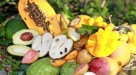 Timeline: LA FINCA DEL MAÑANA