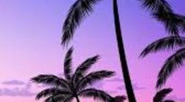 Timeline: Transatlantic slave trade