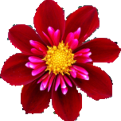 Timeline: Etapas historicas -TC