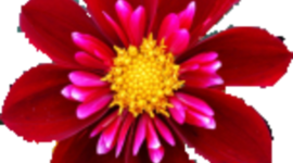 Timeline: Etapas historicas -TC