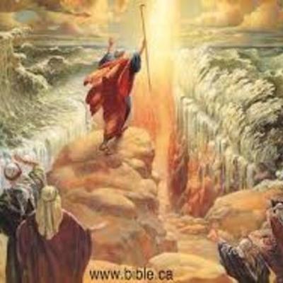 Timeline: Tomás Sanabria 8b,31