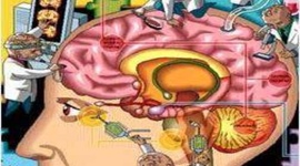 Timeline: Psicopatología