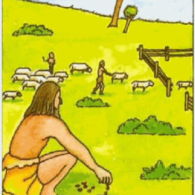 Timeline: Los Números Enteros