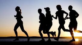 Timeline: Factores de Riesgo en Lesiones Músculo Esqueleticas Durate el Deporte