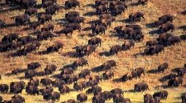 Timeline: Conflict on the Great Plains