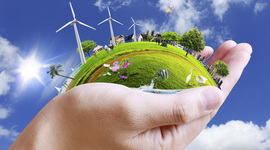 Timeline: Día Mundial del Medio Ambiente