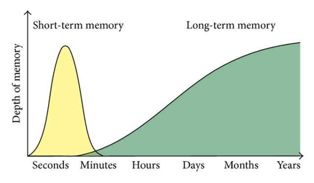 Memory timeline | Timetoast timelines