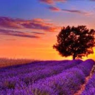 Timeline: origen del universo