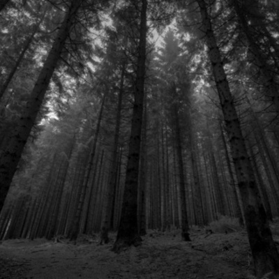 Timeline: Historia de Photoshop