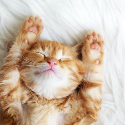 Timeline: Облов Никита