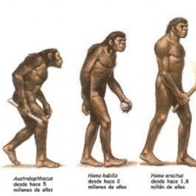 Timeline: La evolución de los hominidos