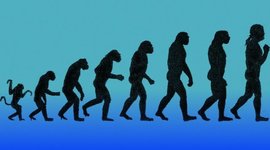 Timeline: Linea del tiempo