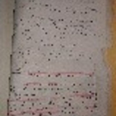 Timeline:  Creación de la colonia mediante escritura publica