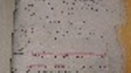 Timeline:  Creación de la colonia mediante escritura publica