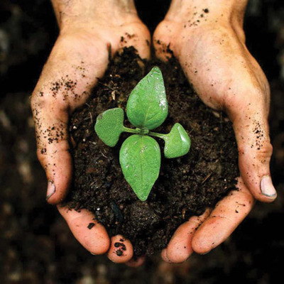 Timeline: Földhasználat és földminősítés tantárgy