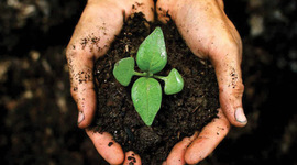 Timeline: Földhasználat és földminősítés tantárgy