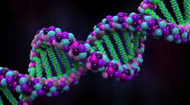 Timeline: Descubrimiento del ADN