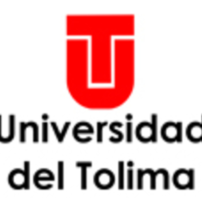 Timeline: electiva núcleo y desarrollo de habilidades comunicativas