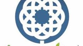 Timeline: códigos curriculares