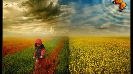 Timeline: Teoria del Caos