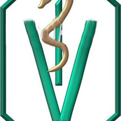 Timeline: Historia de la veterinaria