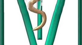 Timeline: Historia de la veterinaria