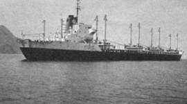 Timeline: TRANSPORTE MARÍTIMO COMERCIAL