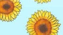 Timeline: CIENCIAS SOCIALES.