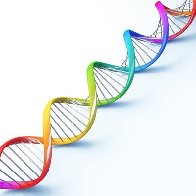 Timeline: Descubrimiento del ADN