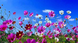 Timeline: mi biografia