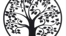 Timeline: mi linea de vida