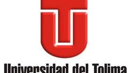 Timeline: Electiva núcleo y desarrollo de habilidades comunicativas