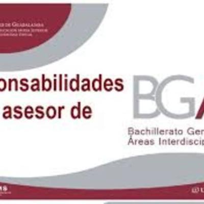 Timeline: Responsabilidades Del Asesor de BGAI