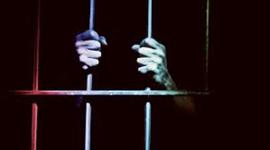 Timeline: Derecho Penitenciario en México