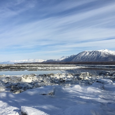 Timeline: Alaska Alive