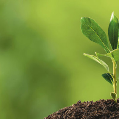 Timeline: How Food Is Preserved