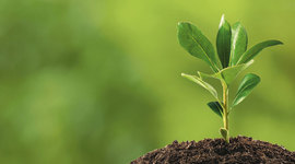 Timeline: How Food Is Preserved