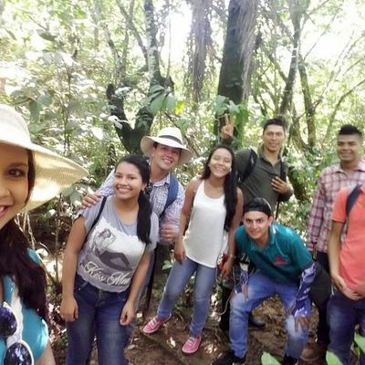 Timeline: TUTORIAS DE ELECTIVA