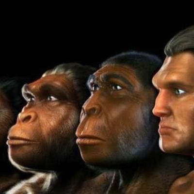 Timeline: Evolución Humana