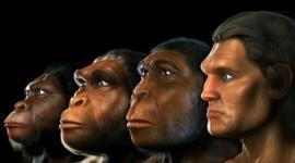 Timeline: Evolución Humana