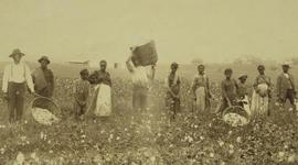 Timeline: Laws and restrictions for slaves in the 18th and 19th century (KB)