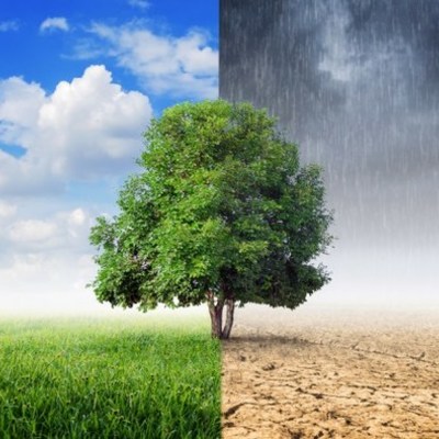 Timeline: Cambio climático